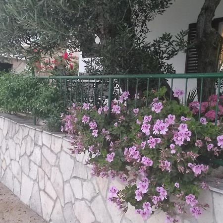 Apartmani M&M Brist Dış mekan fotoğraf